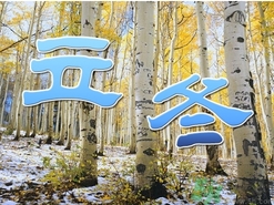 立冬可以栽樹嗎？立冬栽樹樹會(huì)死嗎？