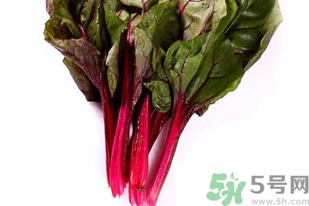 甜菜是甜的嗎？甜菜到底是不是甜的？
