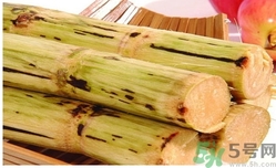甘蔗過夜了能吃嗎？隔夜的甘蔗可以吃嗎？