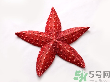 海星的營養價值 海星的功效與作用