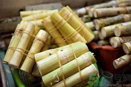 黑皮甘蔗和綠皮甘蔗功效有什么不同？黑皮甘蔗和綠皮甘蔗的區別