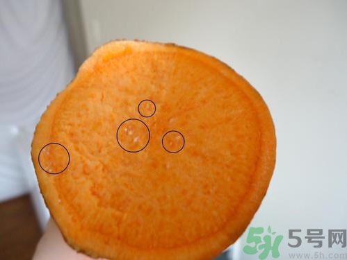 番薯發芽還能吃嗎？山芋發芽還能吃嗎？