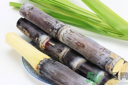 新鮮甘蔗汁能放冰箱嗎？鮮榨甘蔗汁放冰箱會變質嗎？