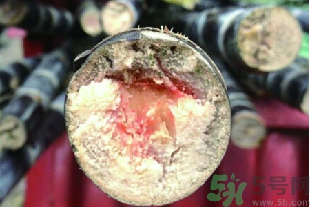 發霉的甘蔗吃了會中毒嗎？發霉的甘蔗長什么樣子？