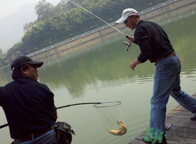 秋季釣黑魚用什么魚餌？秋天釣黑魚用什么餌？