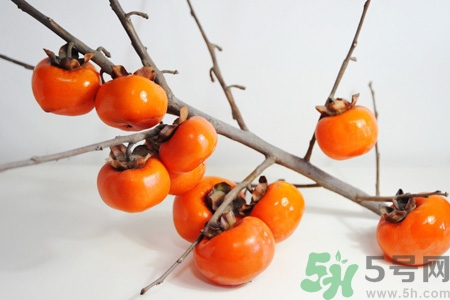 柿子和甘蔗能一起吃嗎？吃完柿子能馬上吃甘蔗嗎？
