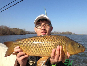 夜釣鯉魚用什么餌料？秋天夜釣鯉魚用什么餌料？