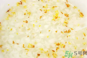 新鮮桂花可以煮粥嗎？桂花可以煮粥嗎？
