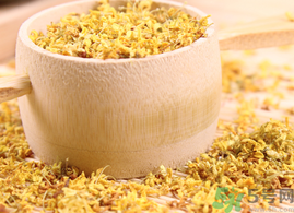 新鮮桂花能泡茶嗎？新鮮怎么處理泡茶？