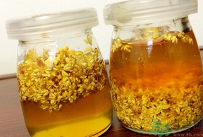干桂花可以做桂花蜜嗎？干桂花怎么做桂花蜜？