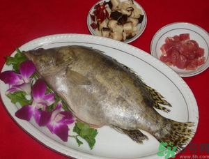 桂魚怎么保存？桂魚放冰箱怎么保存？