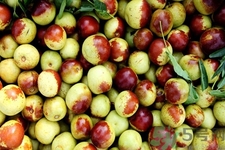冬棗為什么用開(kāi)水泡過(guò)會(huì)變紅？燙過(guò)的冬棗還能吃嗎？