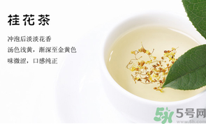 月經(jīng)期能喝桂花茶嗎？經(jīng)期能喝桂花茶嗎？