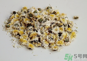 干菊花長蟲怎么辦?干菊花長蟲還能喝嗎? 干菊花長蟲怎么辦?干菊花長蟲還能喝嗎?