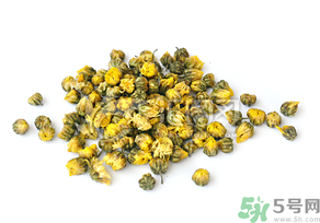 干菊花長蟲怎么辦?干菊花長蟲還能喝嗎? 干菊花長蟲怎么辦?干菊花長蟲還能喝嗎?