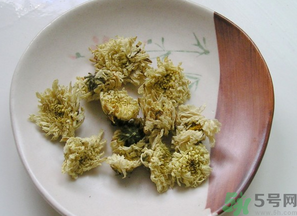 干菊花長蟲怎么辦?干菊花長蟲還能喝嗎? 干菊花長蟲怎么辦?干菊花長蟲還能喝嗎?