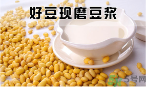 現磨豆漿可以放多久？現打豆漿保質期多久？