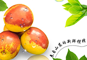 冬棗洗了可以放冰箱嗎？冬棗放冰箱好還是不放冰箱好？