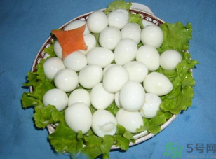 鴿子蛋怎么煮不會(huì)破裂？鴿子蛋怎么煮不會(huì)破？
