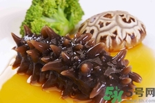 吃海參會上火嗎？經(jīng)常吃海參會上火嗎？