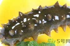 新鮮海參怎么吃最有營養？新鮮海參生吃最有營養嗎？