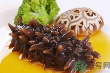 孕婦能吃海參嗎？孕婦吃海參的好處