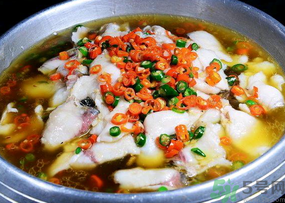 黑魚的營養價值 黑魚的功效與作用 黑魚的營養價值 黑魚的功效與作用