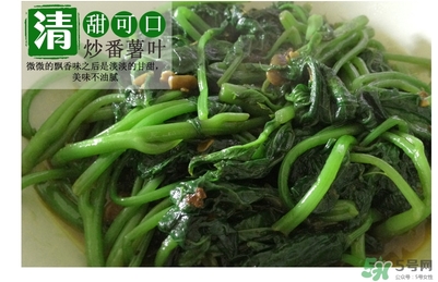 紅薯葉哺乳期可以吃嗎？紅薯葉產婦可以吃嗎？