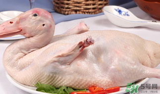 鴨肉可以放冰箱嗎？鴨肉放冰箱能保鮮多久？