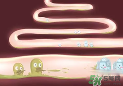 益生菌可以長期吃嗎？益生菌什么時候吃比較好？