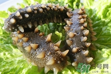 腎虛能吃海參嗎？吃海參對(duì)腎好嗎？