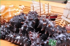腎虛能吃海參嗎？吃海參對(duì)腎好嗎？