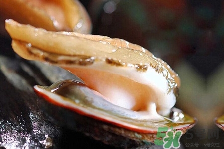 新鮮鮑魚可以放多久？活鮑魚怎樣存放時間更長？