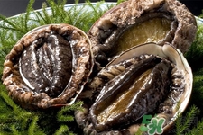 吃鮑魚要注意些什么？吃鮑魚會(huì)過敏嗎？
