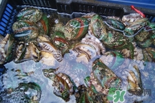吃鮑魚要注意些什么？吃鮑魚會(huì)過敏嗎？