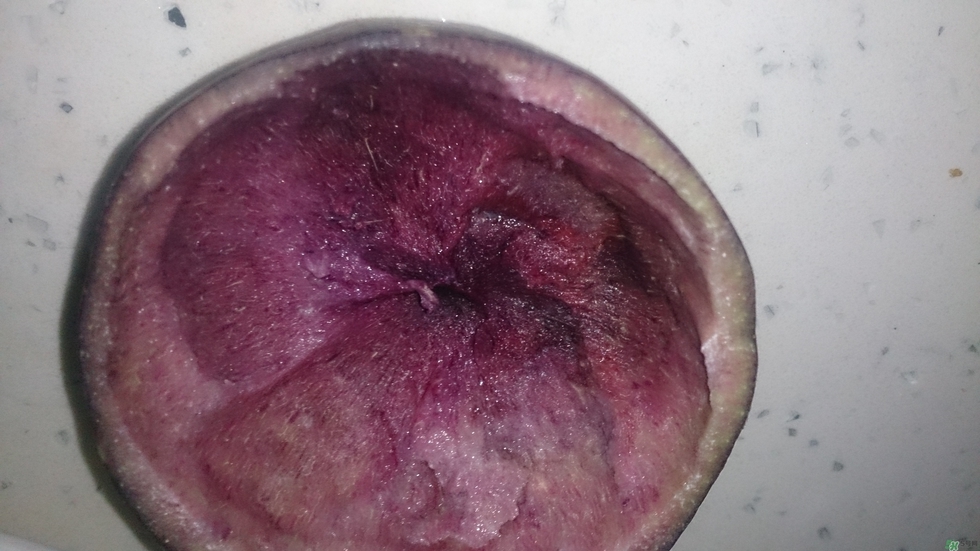 牛奶果怎么吃？牛奶果的功效與作用