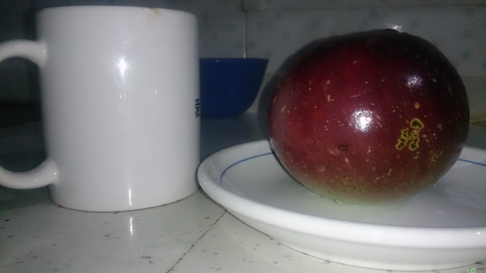 牛奶果怎么吃？牛奶果的功效與作用