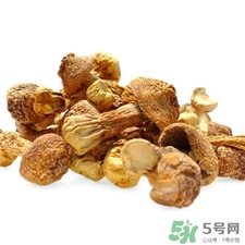 姬松茸的營養價值 姬松茸的功效與作用