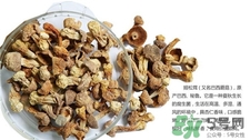 姬松茸的營養價值 姬松茸的功效與作用