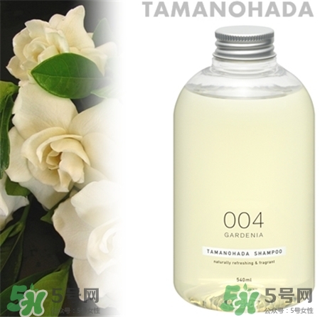 玉肌洗發水哪個味道好?玉肌洗發水怎么樣?