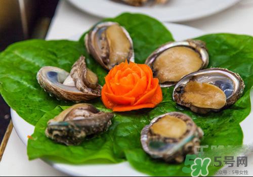 鮑魚是熱性還是涼性？鮑魚是寒性食物嗎？