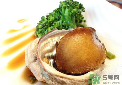 鮑魚是熱性還是涼性？鮑魚是寒性食物嗎？