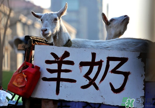 鮮羊奶怎么保存?鮮羊奶放冰箱能放多久? 鮮羊奶怎么保存?鮮羊奶放冰箱能放多久?