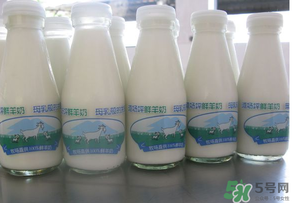 鮮羊奶可以直接喝嗎？鮮羊奶怎么喝最好？