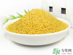 小黃米和大黃米哪個好?小黃米和大黃米的區別