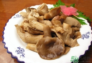鮑魚菇怎么做好吃？鮑魚菇的功效與作用