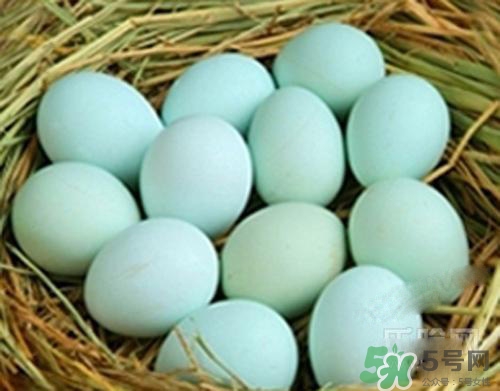 綠皮雞蛋是怎么回事？綠皮雞蛋的營養價值