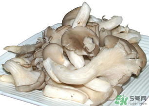 平菇怎么保存？平菇能放幾天？