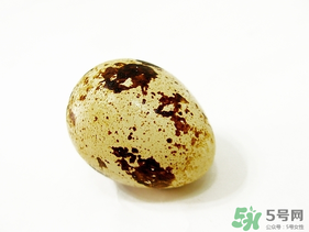 鵪鶉蛋不能和什么一起吃？鵪鶉蛋不能與什么同食？
