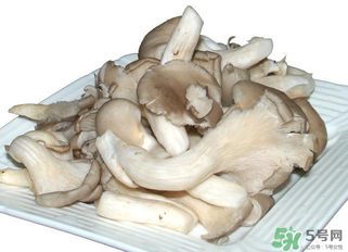 吃平菇有什么好處?平菇怎么做好吃? 吃平菇有什么好處?平菇怎么做好吃?